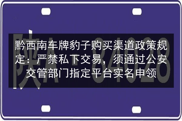 黔西南车牌豹子购买渠道政策规定：严禁私下交易，须通过公安交管部门指定平台实名申领 第2张