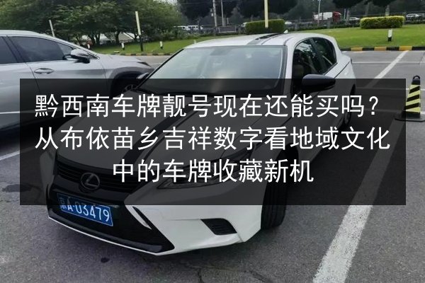 黔西南车牌靓号现在还能买吗？从布依苗乡吉祥数字看地域文化中的车牌收藏新机 第2张