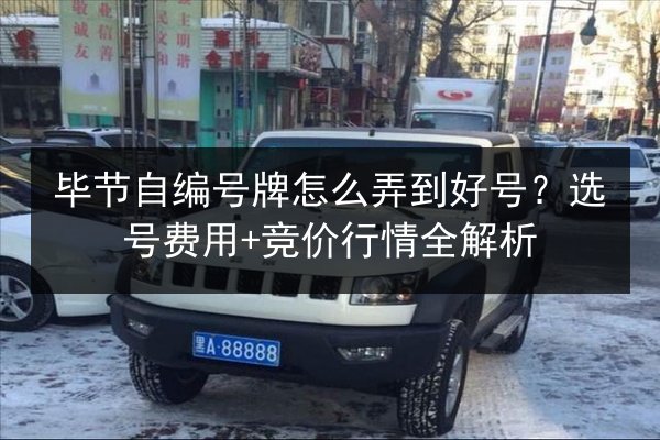 毕节自编号牌怎么弄到好号?选号费用+竞价行情全解析 第2张 毕节自编号牌怎么弄到好号?选号费用+竞价行情全解析 第2张