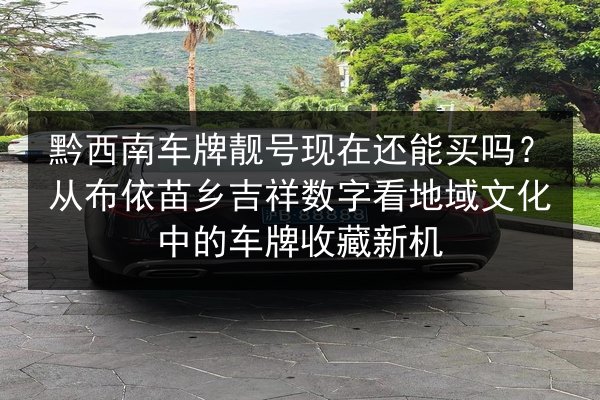 黔西南车牌靓号现在还能买吗？从布依苗乡吉祥数字看地域文化中的车牌收藏新机 第3张
