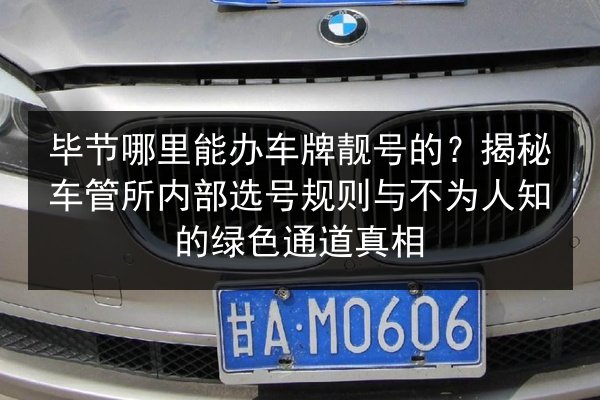 毕节哪里能办车牌靓号的?揭秘车管所内部选号规则与不为人知的绿色通道真相 第1张 毕节哪里能办车牌靓号的?揭秘车管所内部选号规则与不为人知的绿色通道真相 第1张