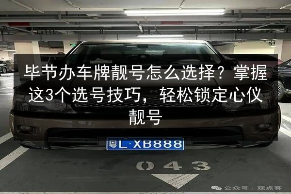 毕节办车牌靓号怎么选择?掌握这3个选号技巧,轻松锁定心仪靓号 第3张 毕节办车牌靓号怎么选择?掌握这3个选号技巧,轻松锁定心仪靓号 第3张