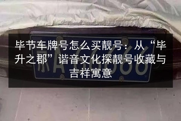 毕节车牌号怎么买靓号:从“毕升之郡”谐音文化探靓号收藏与吉祥寓意 第1张 毕节车牌号怎么买靓号:从“毕升之郡”谐音文化探靓号收藏与吉祥寓意 第1张