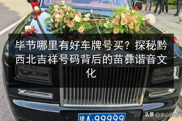 毕节哪里有好车牌号买？探秘黔西北吉祥号码背后的苗彝谐音文化 第2张