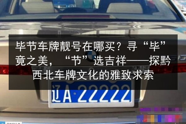 毕节车牌靓号在哪买？寻“毕”竟之美，“节”选吉祥——探黔西北车牌文化的雅致求索 第2张