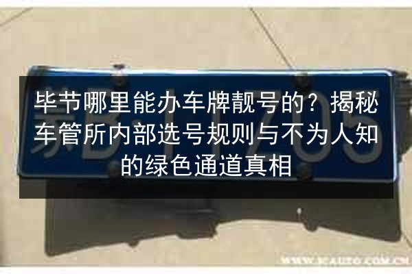 毕节哪里能办车牌靓号的?揭秘车管所内部选号规则与不为人知的绿色通道真相 第3张 毕节哪里能办车牌靓号的?揭秘车管所内部选号规则与不为人知的绿色通道真相 第3张