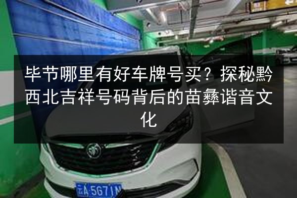 毕节哪里有好车牌号买？探秘黔西北吉祥号码背后的苗彝谐音文化 第3张