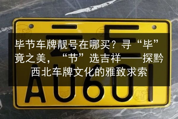 毕节车牌靓号在哪买？寻“毕”竟之美，“节”选吉祥——探黔西北车牌文化的雅致求索 第3张