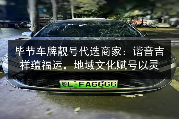 毕节车牌靓号代选商家:谐音吉祥蕴福运,地域文化赋号以灵 第2张 毕节车牌靓号代选商家:谐音吉祥蕴福运,地域文化赋号以灵 第2张