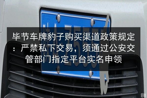 毕节车牌豹子购买渠道政策规定:严禁私下交易,须通过公安交管部门指定平台实名申领 第2张 毕节车牌豹子购买渠道政策规定:严禁私下交易,须通过公安交管部门指定平台实名申领 第2张
