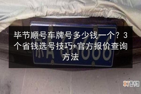 毕节顺号车牌号多少钱一个？3个省钱选号技巧+官方报价查询方法 第2张
