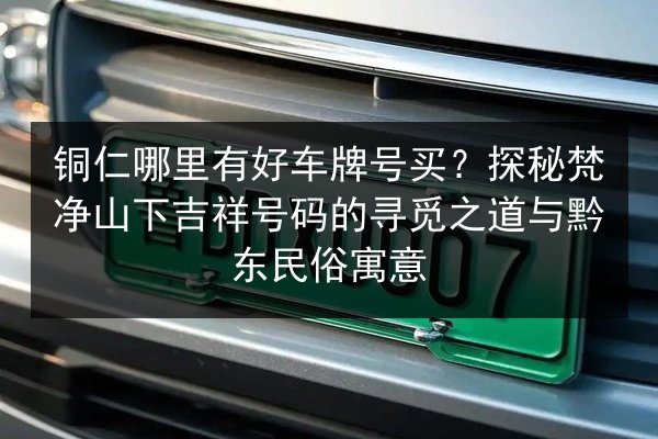 铜仁哪里有好车牌号买?探秘梵净山下吉祥号码的寻觅之道与黔东民俗寓意 第2张 铜仁哪里有好车牌号买?探秘梵净山下吉祥号码的寻觅之道与黔东民俗寓意 第2张