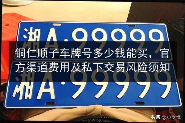 铜仁顺子车牌号多少钱能买，官方渠道费用及私下交易风险须知 第2张