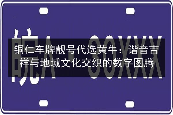 铜仁车牌靓号代选黄牛：谐音吉祥与地域文化交织的数字图腾 第2张