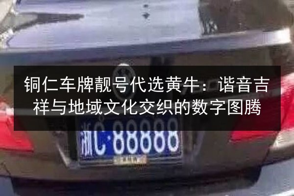 铜仁车牌靓号代选黄牛：谐音吉祥与地域文化交织的数字图腾 第3张
