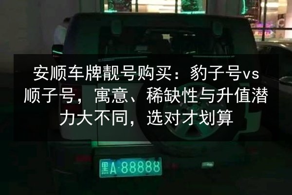 安顺车牌靓号购买:豹子号vs顺子号,寓意、稀缺性与升值潜力大不同,选对才划算 第2张 安顺车牌靓号购买:豹子号vs顺子号,寓意、稀缺性与升值潜力大不同,选对才划算 第2张