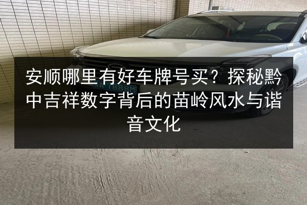 安顺哪里有好车牌号买?探秘黔中吉祥数字背后的苗岭风水与谐音文化 第2张 安顺哪里有好车牌号买?探秘黔中吉祥数字背后的苗岭风水与谐音文化 第2张