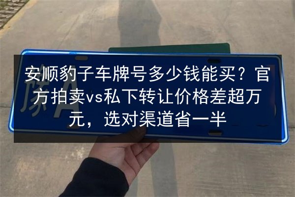 安顺豹子车牌号多少钱能买？官方拍卖vs私下转让价格差超万元，选对渠道省一半