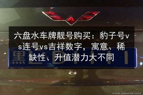 六盘水车牌靓号购买：豹子号vs连号vs吉祥数字，寓意、稀缺性、升值潜力大不同 第2张