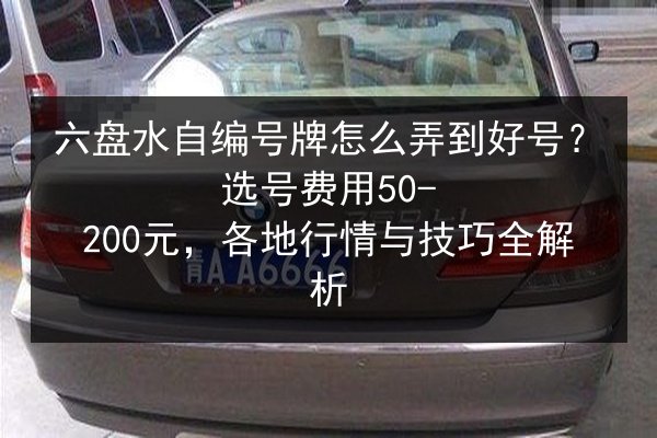 六盘水自编号牌怎么弄到好号？选号费用50-200元，各地行情与技巧全解析 第2张
