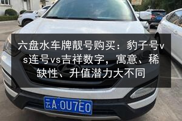 六盘水车牌靓号购买：豹子号vs连号vs吉祥数字，寓意、稀缺性、升值潜力大不同 第3张