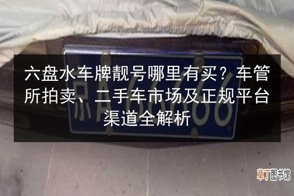 六盘水车牌靓号哪里有买？车管所拍卖、二手车市场及正规平台渠道全解析