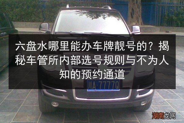 六盘水哪里能办车牌靓号的？揭秘车管所内部选号规则与不为人知的预约通道 第2张