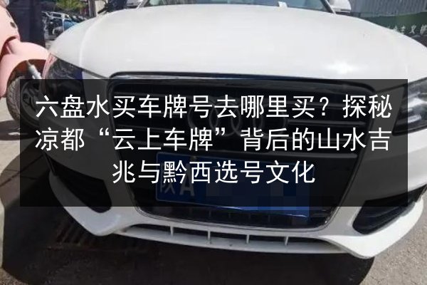 六盘水买车牌号去哪里买？探秘凉都“云上车牌”背后的山水吉兆与黔西选号文化