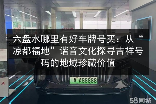 六盘水哪里有好车牌号买：从“凉都福地”谐音文化探寻吉祥号码的地域珍藏价值 第2张