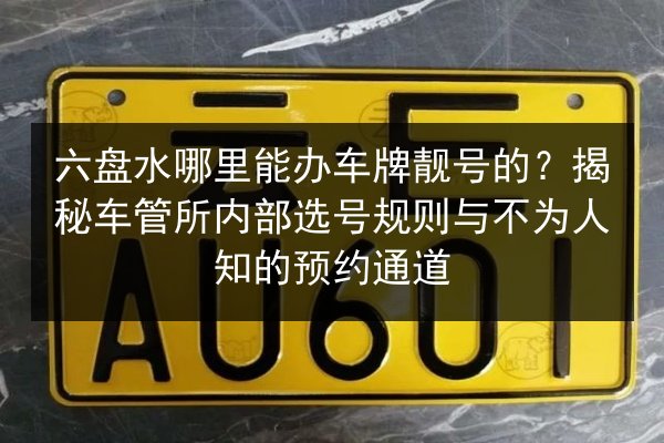六盘水哪里能办车牌靓号的？揭秘车管所内部选号规则与不为人知的预约通道 第3张