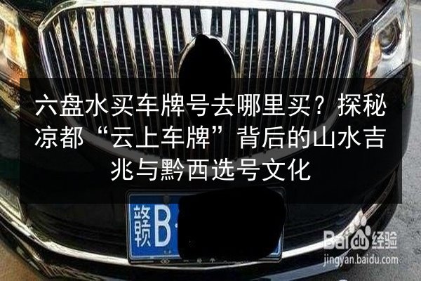 六盘水买车牌号去哪里买?探秘凉都“云上车牌”背后的山水吉兆与黔西选号文化 第2张 六盘水买车牌号去哪里买?探秘凉都“云上车牌”背后的山水吉兆与黔西选号文化 第2张