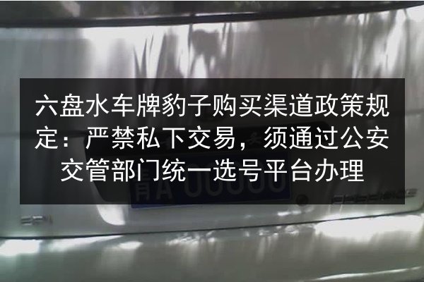 六盘水车牌豹子购买渠道政策规定：严禁私下交易，须通过公安交管部门统一选号平台办理 第1张