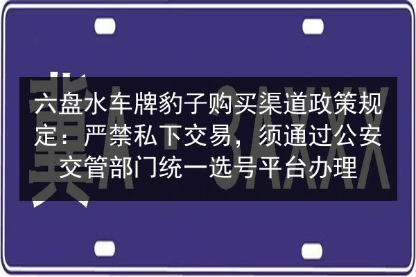 六盘水车牌豹子购买渠道政策规定：严禁私下交易，须通过公安交管部门统一选号平台办理 第2张