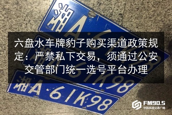 六盘水车牌豹子购买渠道政策规定：严禁私下交易，须通过公安交管部门统一选号平台办理 第3张