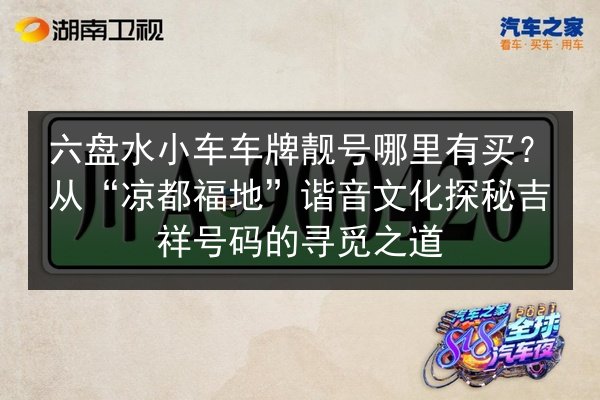 六盘水小车车牌靓号哪里有买？从“凉都福地”谐音文化探秘吉祥号码的寻觅之道 第3张