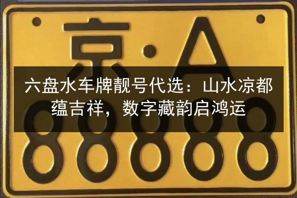 六盘水车牌靓号代选：山水凉都蕴吉祥，数字藏韵启鸿运 第1张