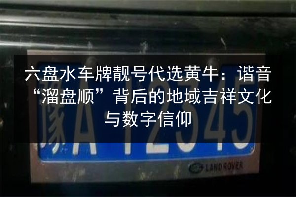 六盘水车牌靓号代选黄牛:谐音“溜盘顺”背后的地域吉祥文化与数字信仰 第3张 六盘水车牌靓号代选黄牛:谐音“溜盘顺”背后的地域吉祥文化与数字信仰 第3张