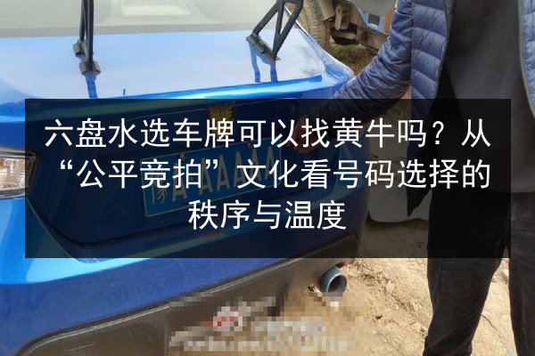 六盘水选车牌可以找黄牛吗？从“公平竞拍”文化看号码选择的秩序与温度 第2张