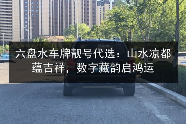 六盘水车牌靓号代选：山水凉都蕴吉祥，数字藏韵启鸿运 第3张