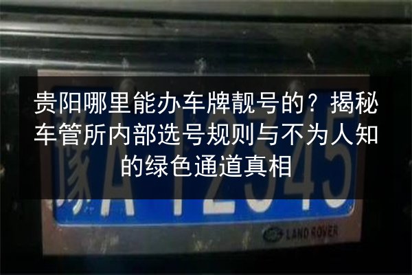 贵阳哪里能办车牌靓号的？揭秘车管所内部选号规则与不为人知的绿色通道真相 第2张