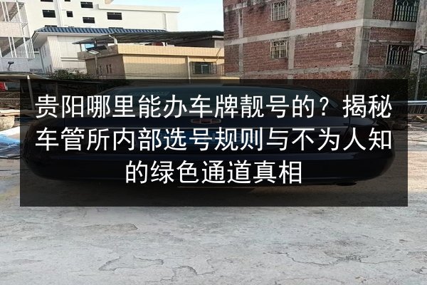 贵阳哪里能办车牌靓号的？揭秘车管所内部选号规则与不为人知的绿色通道真相 第3张