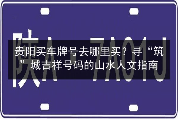 贵阳买车牌号去哪里买？寻“筑”城吉祥号码的山水人文指南 第3张