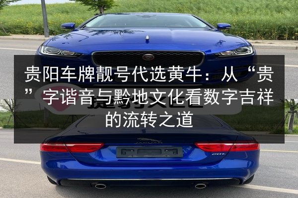 贵阳车牌靓号代选黄牛:从“贵”字谐音与黔地文化看数字吉祥的流转之道 第3张 贵阳车牌靓号代选黄牛:从“贵”字谐音与黔地文化看数字吉祥的流转之道 第3张