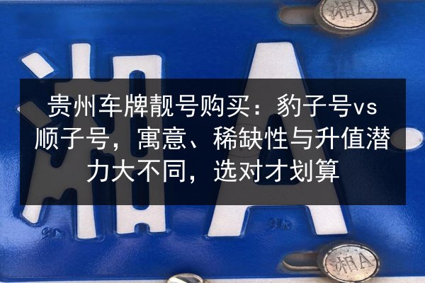 贵州车牌靓号购买：豹子号vs顺子号，寓意、稀缺性与升值潜力大不同，选对才划算 第3张