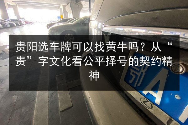 贵阳选车牌可以找黄牛吗?从“贵”字文化看公平择号的契约精神 第2张 贵阳选车牌可以找黄牛吗?从“贵”字文化看公平择号的契约精神 第2张