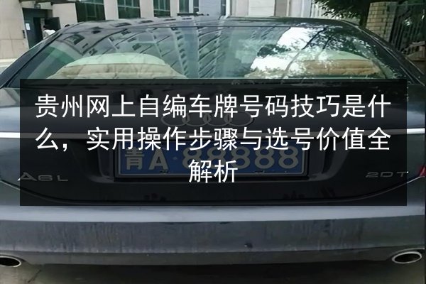 贵州网上自编车牌号码技巧是什么，实用操作步骤与选号价值全解析 第3张