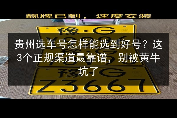 贵州选车号怎样能选到好号?这3个正规渠道最靠谱,别被黄牛坑了 第3张 贵州选车号怎样能选到好号?这3个正规渠道最靠谱,别被黄牛坑了 第3张