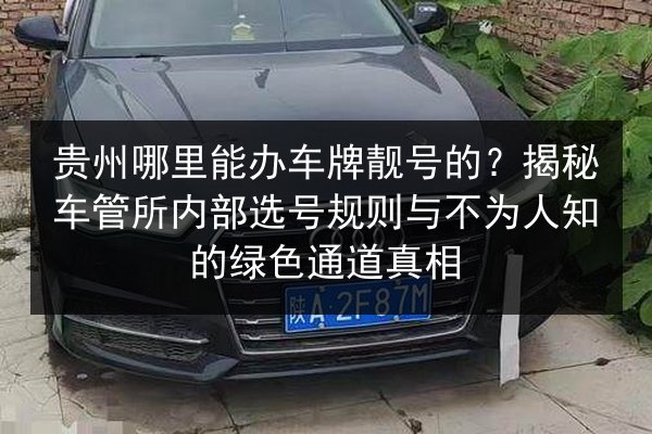 贵州哪里能办车牌靓号的？揭秘车管所内部选号规则与不为人知的绿色通道真相
