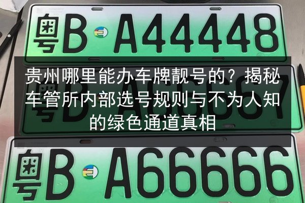 贵州哪里能办车牌靓号的?揭秘车管所内部选号规则与不为人知的绿色通道真相 第2张 贵州哪里能办车牌靓号的?揭秘车管所内部选号规则与不为人知的绿色通道真相 第2张