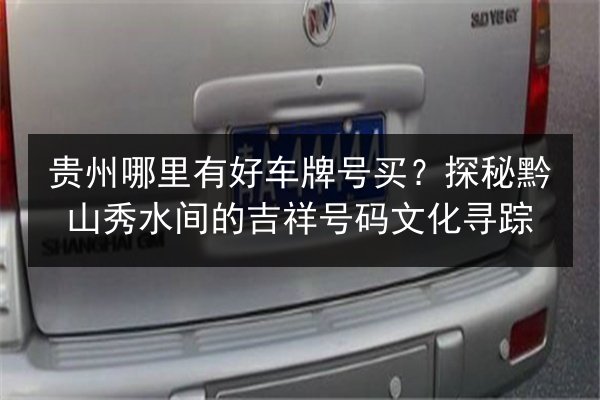 贵州哪里有好车牌号买？探秘黔山秀水间的吉祥号码文化寻踪 第2张